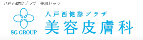 www.bihada-dock.jp_summary.html(Laptop with HiDPI screen)